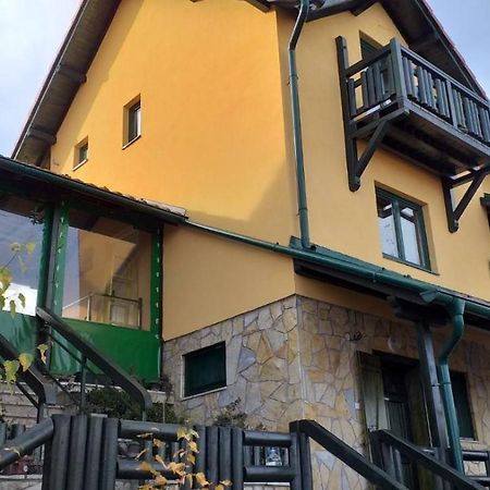 Vila Bliznakinja B Zlatibor Kültér fotó