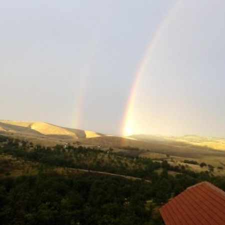 Vila Bliznakinja B Zlatibor Kültér fotó