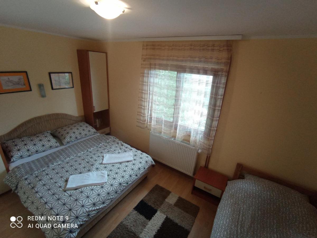 Vila Bliznakinja B Zlatibor Kültér fotó