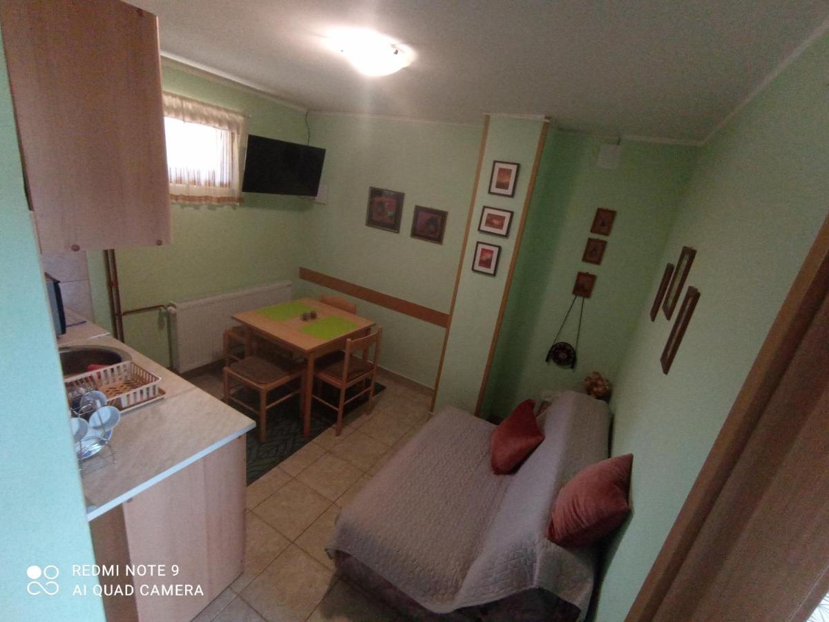 Vila Bliznakinja B Zlatibor Kültér fotó