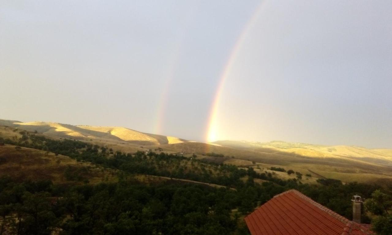 Vila Bliznakinja B Zlatibor Kültér fotó