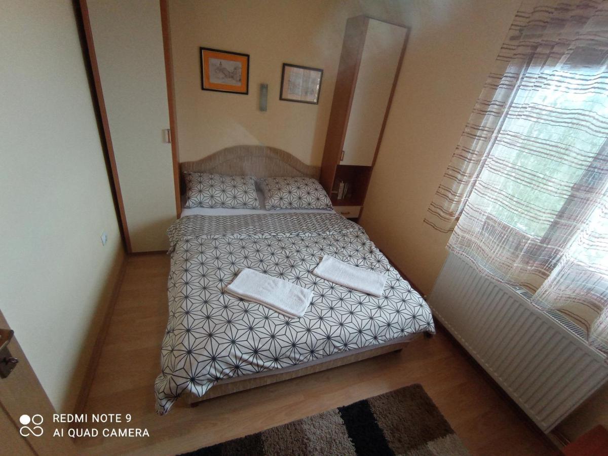 Vila Bliznakinja B Zlatibor Kültér fotó